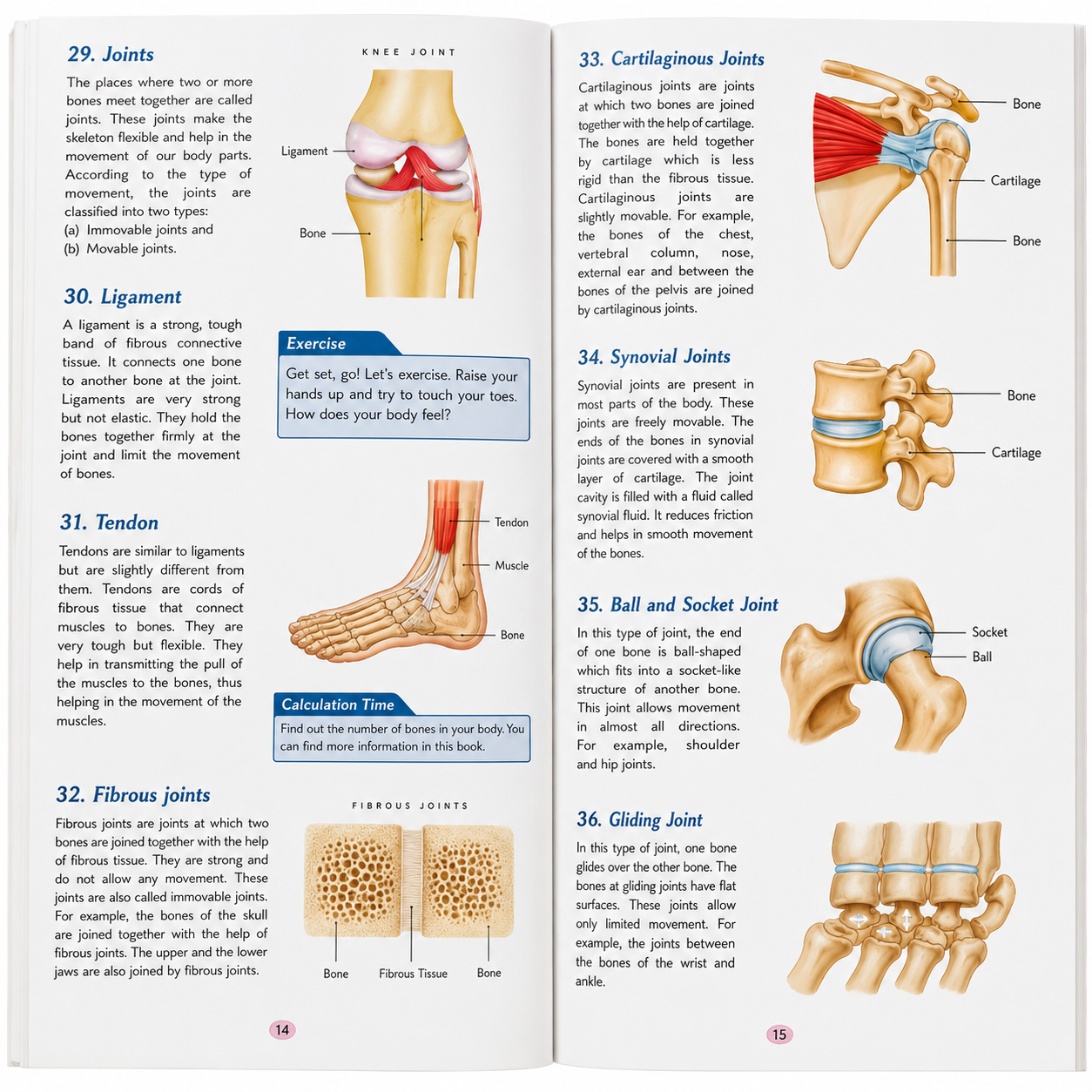 Human Body Parts Encyclopedia| 221 Amazing Facts Colourful Illustrations with Diagram