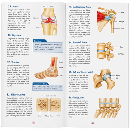 Human Body Parts Encyclopedia| 221 Amazing Facts Colourful Illustrations with Diagram