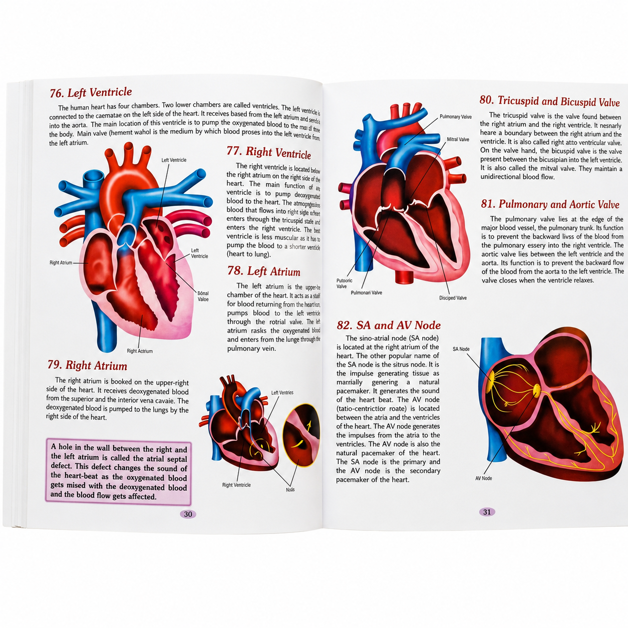 Human Body Parts Encyclopedia| 221 Amazing Facts Colourful Illustrations with Diagram